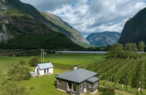 Tonjum House | Jordeplegarden holiday home - Part of a farm - Two buildings - Close to Flåm