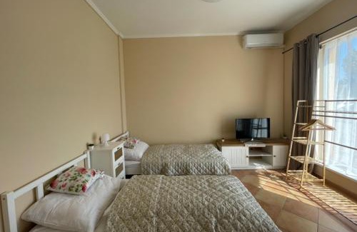 Pusztavacs Apartment | Joy Apartman