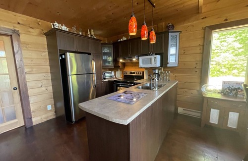 Bowman Ski Chalet | Joy's Chalet - Hottub, Lake, and Cliff