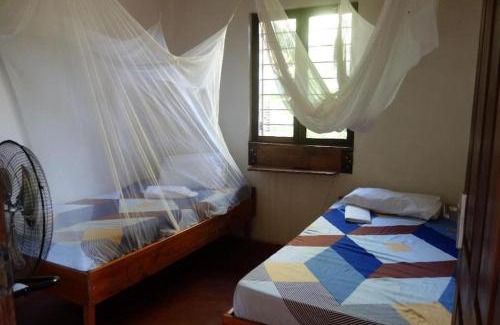 Pangani House | Juani Pangani