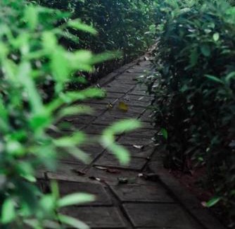 Sevanagala House | Jungle Edge Cottage