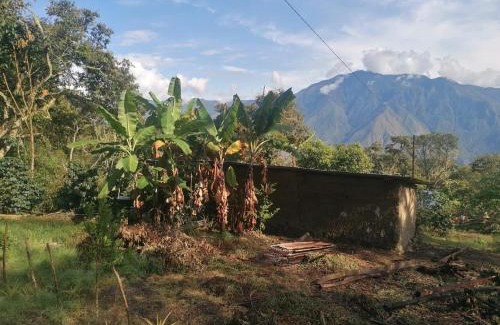 Santa Ana Cabin | Jungle Lodge Quillabamba All included