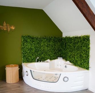 Queven Apartment | Jungle Room - Studio avec spa privé