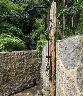 Mayong Cabin | Jungle therapy mayong