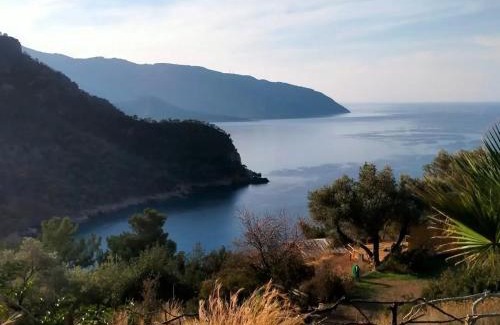 Kabak Valley Cabin | Kök Kamp