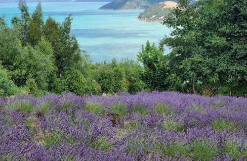 Duvauchelle House | Kūkupa Matairangi at Akaroa Lavender