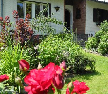 Saint Florian House | K14 - Oase im Grünen