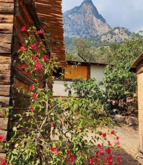 Kabak Valley Bed & Breakfast | Kabak Nova Camp Bungalovs