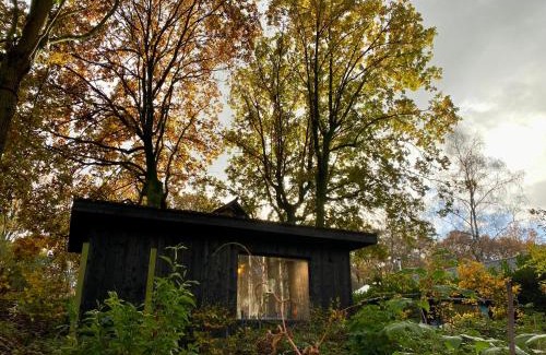 Wingene House | Kabana - eco forest suite