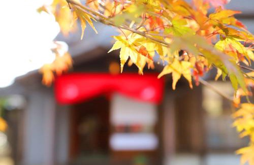 Tadotsu-cho Hotel | Kachusha Gekko