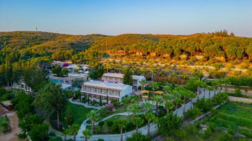 Datca Hotel | Kairos Valley Wellness & Longevity