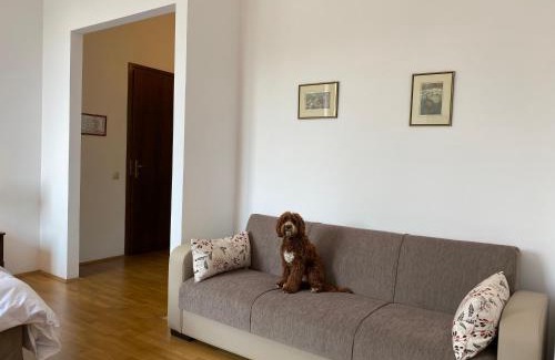 Szekkutas House | Kakasszéki Vendégház