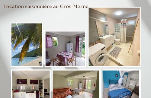 Gros-Morne Apartment | Kanell