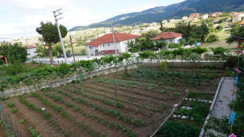 Salda House | Karanfil Pansiyon