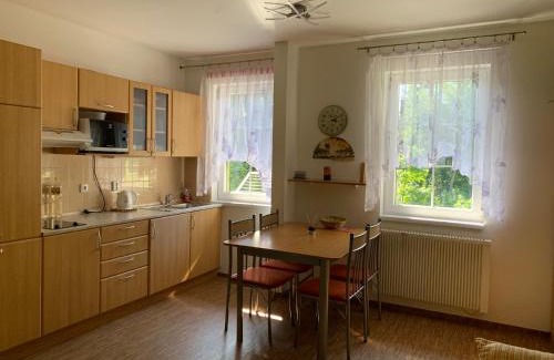 Mala Moravka Apartment | Karlov pod Pradědem Apartmány Orbit