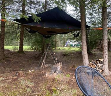 Antsla Parish Other | Karula Stay lakeside Camper, Treetent & SUPs included - all area only for you!