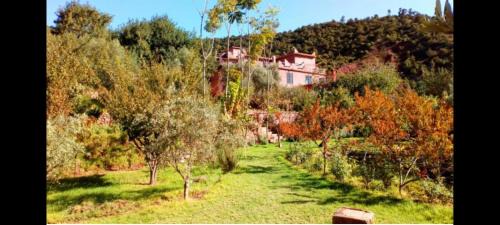 Tnine Ourika House | KASBAH Jardin des délices Timalizen