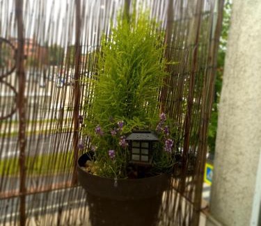 Stare Miasto Apartment | Katarzyny11
