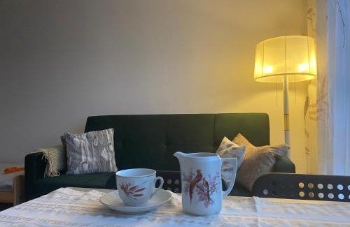 Elblag Apartment | kawalerka PIECHOTY 5 os CENTRUM