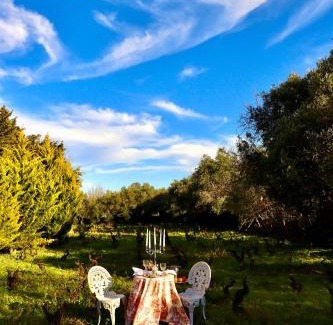 Bozcaada Bed & Breakfast | Kemerbag 29 Guest House 12 Yaş Üstü