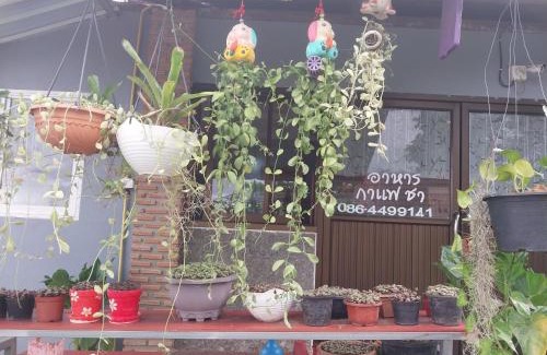 K. Phu Pieng House | Khai Mook Homestay