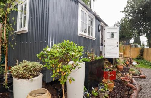 Nantgarw House | King's Cwtch Shepherd's Hut