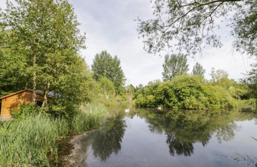 Frankton House | Kingfisher