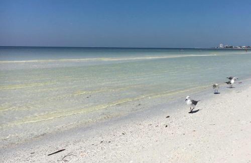 Saint Armands Key House | Kingston Arms, 2nd Floor, Walk to Beach
