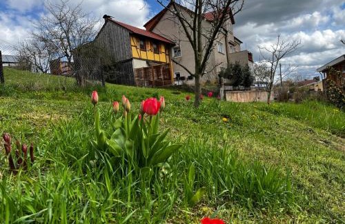 Kreischa Apartment | Kipsenblick