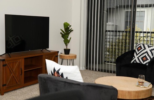 South Central Houston Apartment | Kirby Place - Luxury pool - med center - gym