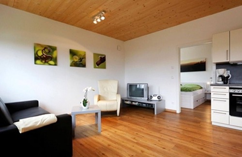 Freinsheim Apartment | Kirchner Fewo/Winery - Burgstraße - Fewo Burgstraße