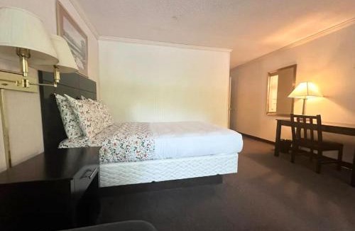 Phoenixville Apartment | Kiteville Phoenixville
