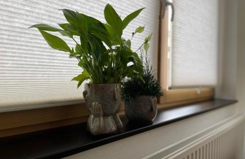 Thiergarten House | KIWE5