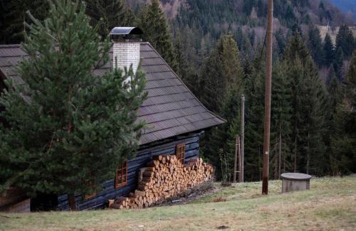 Hutisko-Solanec House | Klid na samotě u lesa