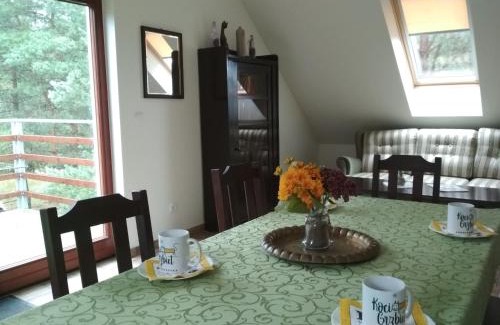 Wielen House | Koci Grzbiet Agroturystyka