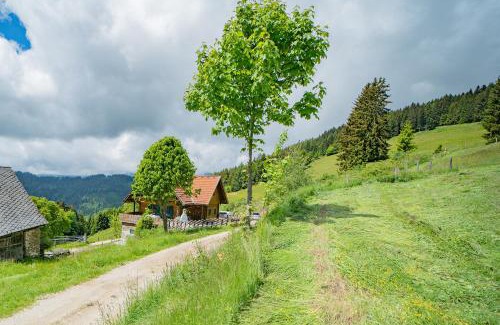 Wolfsberg House | Kogljahrerhütte