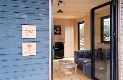 Neuland Boat Rental | Komfort-Hausboot DIVA mit Kamin