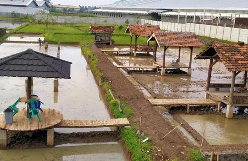 Cisayong House | Kosan H Bambang