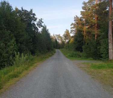 Skodje House | Koselig hytte i skogen
