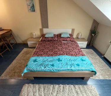 Erzsebetfalva Apartment | Kossuth Apartman