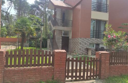 Shekhvetili Apartment | Kottiedzh EDEM