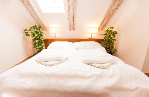 Stare Mesto Apartment | Kozna Loft