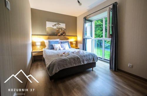 Porabka Apartment | Kozubnik 37