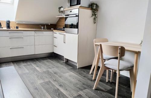 Usti nad Labem Apartment | Králova Výšina