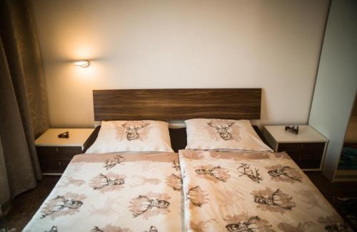 Wolfsegg am Hausruck Apartment | Kronlachner's Apartment