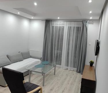 Kruszwica Apartment | Kruszwica Wspólna 3