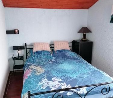 Batina House | Kuća za odmor Dunavski raj
