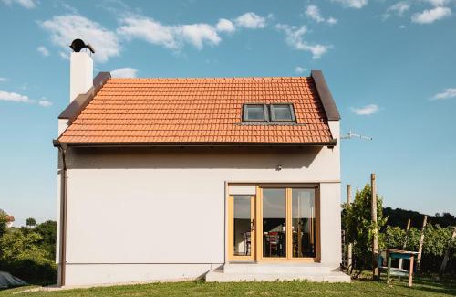 Selnica House | Kuća za odmor Vlahek