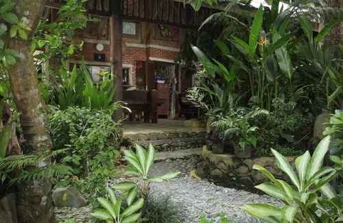 Bukit Lawang House | Kupu Kupu Garden Guest House & Cafe