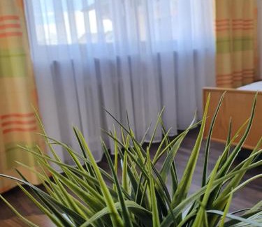 Safferstetten Hotel | Kurhotel Anders